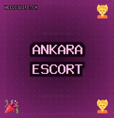 Ankara Escort: Akyurt Escort, Sincan Escort, Altındağ Escort