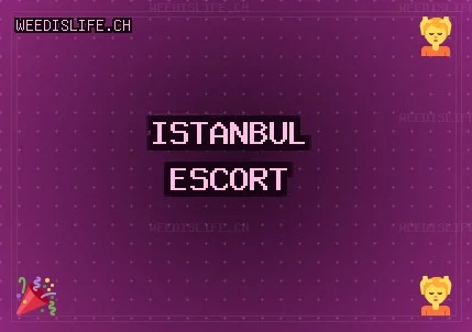 İstanbul Escort: Sarıyer Escort, Pendik Escort, Ümraniye Escort