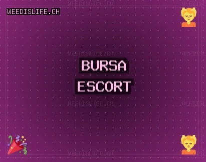 Bursa Escort: Büyükorhan Escort, Harmancık Escort, Orhangazi Escort